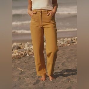 Mollusk Surf Shop Patchfront Work Pants in Sunshine